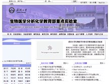 Tablet Screenshot of analchem.whu.edu.cn